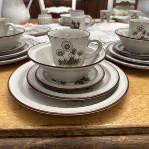 Noritake STONEWARE Japan Desert Flowers 8341 3 Place Setting