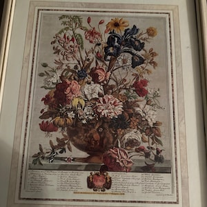 Large Robert Furber DECEMBER Framed/Matted Botanical 12 Months of Flowers Print