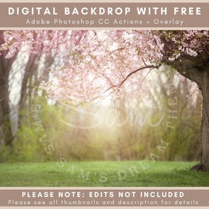 Kirschblütenbaum in einer Frühlingswaldlichtung digitale Kulisse - auch zu finden in 6 Kirschblüten Obstgarten digitale Kulissen-Bundle