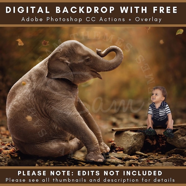 Autumn Baby Elephant Digital Backdrop