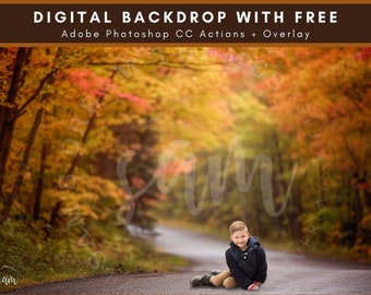 Country Road through Autumn Woods Digital Backdrop - also found in 7 Fall Forest Adventure Digital Backdrops Bundle