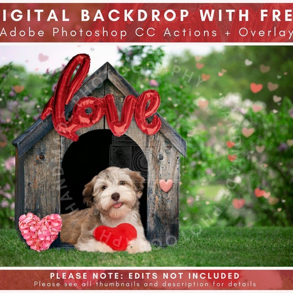 Puppy Love In The Dog House, Valentines Backdrop, Pet Photo Valentines, Backdrops For Dogs, Handmade Photography, Sams Dream Themes