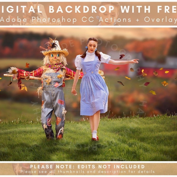 Cute Scarecrow In An Autumn Meadow, Autumn Backdrop, Cute Halloween, Wizard of Oz, Handmade Photography, Sams Dream Themes