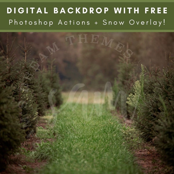 Green Path Through A Christmas Tree Farm, Winter Backdrop, Pine Tree Digital, Christmas Backdrops, Evergreen Tree Farm, Photography Backdrop