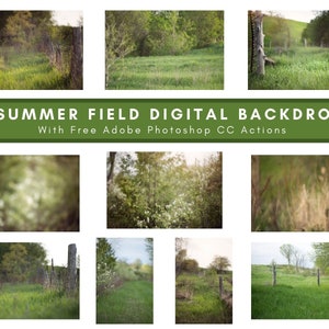 10 Farm Field Bundle - Digital Background - Farmer’s Fields - Spring Meadow - Digital Download - Photo Backdrop - Backdrop Bundle