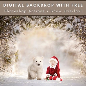 Friendly Polar Bear In The Forest, Digital Backdrop, Christmas Backdrop, Polar Bear Digital, Christmas Composite, Digital Snow Overlay