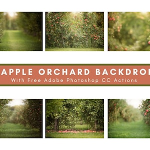 6 Apple Orchard Digital Backdrops Bundle