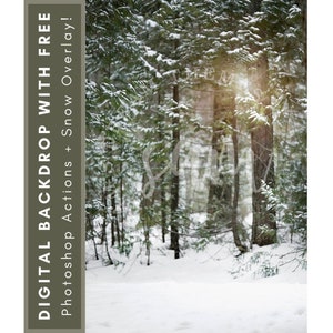 Snowy Pine Forest Toile de fond numérique d’hiver
