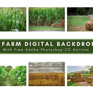 Peut inclure: Six arrière-plans numériques de ferme avec différentes scènes, notamment un champ de maïs, des balles de foin et un coq blanc. Le texte "6 FARM DIGITAL BACKDROPS" et "With Free Adobe Photoshop CC Actions" est affiché sur une bannière verte.