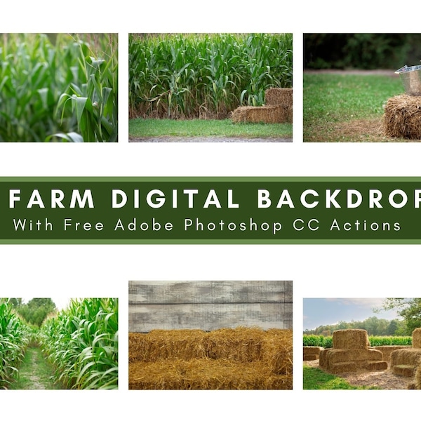 6 Corn Field and Farm Digital Backdrops Bundle