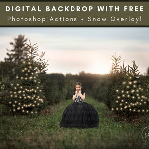 Christmas Tree Farm With Lights, Digital Background, Merry Christmas, Christmas Composite, Christmas Backdrop, Digital Download