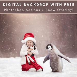 Friendly Penguin, Digital Background, Penguin Digital Snow, Christmas Composite, Christmas Backdrop, Digital Snow Overlay