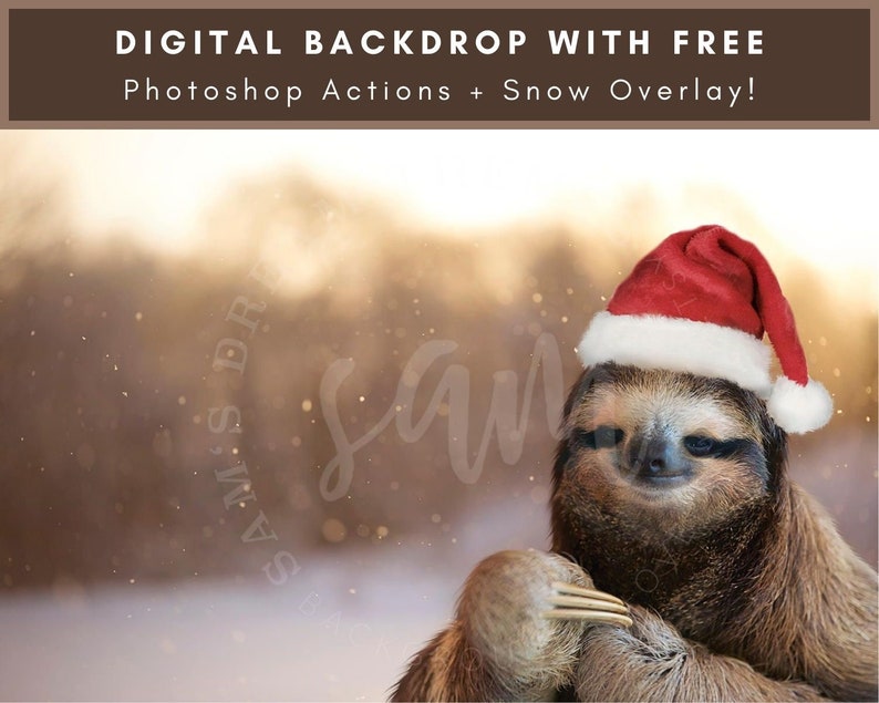 Sloth in a Santa Hat Digital Christmas Backdrop Sloth in a Santa Hat Digital Christmas Backdrop