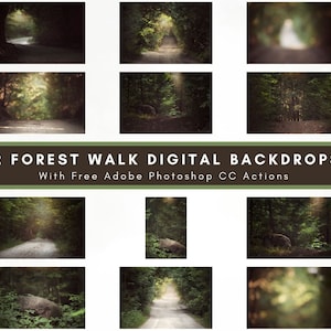 May include: Twelve digital backdrops featuring a forest path with sunlight streaming through the trees. The backdrops are ideal for photographers and graphic designers who want to create a natural and serene atmosphere in their images.