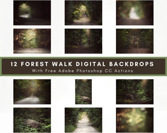 12 Forest Path Bundle - Digital Background - Woodland Trail Pack - Spring Background - Digital Download - Photo Backdrop - Forest Background