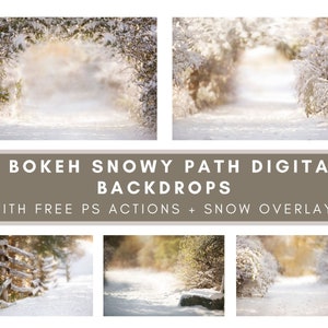 5 Christmas Winter Paths, Backdrops Bundle, Winter Digital, Christmas Backdrops, Digital Snow Overlay, Photography Backdrop, Winter Holiday