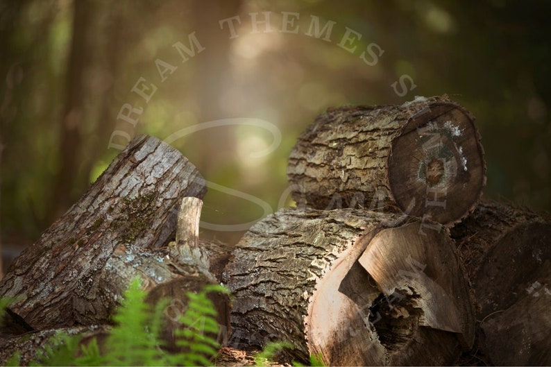 4 Forest Pond Digital Backdrops Bundle
