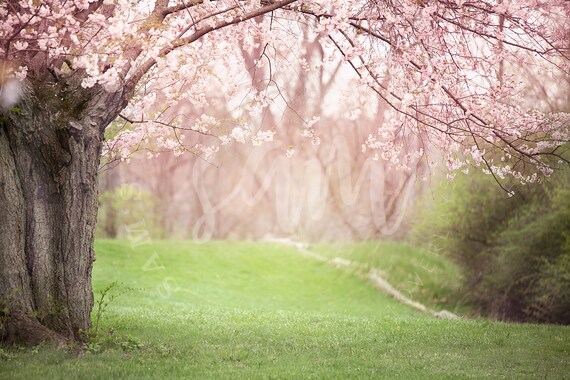 zoom background images spring zoom background images spring