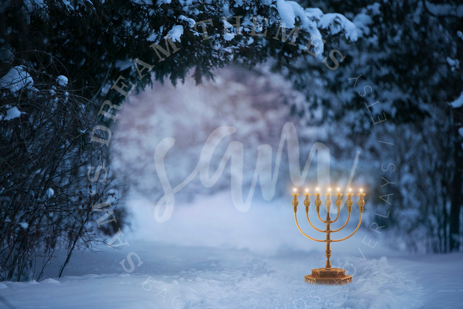 2 Hanukkah Digital backdrops Religious Backdrop Jewish Etsy