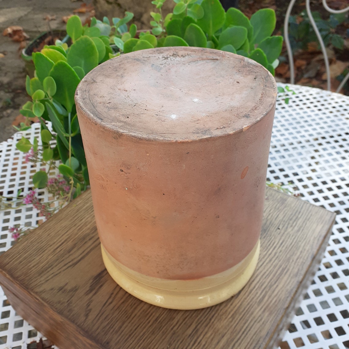 Yellow glazed terracotta pot terracotta Southern French Etsy