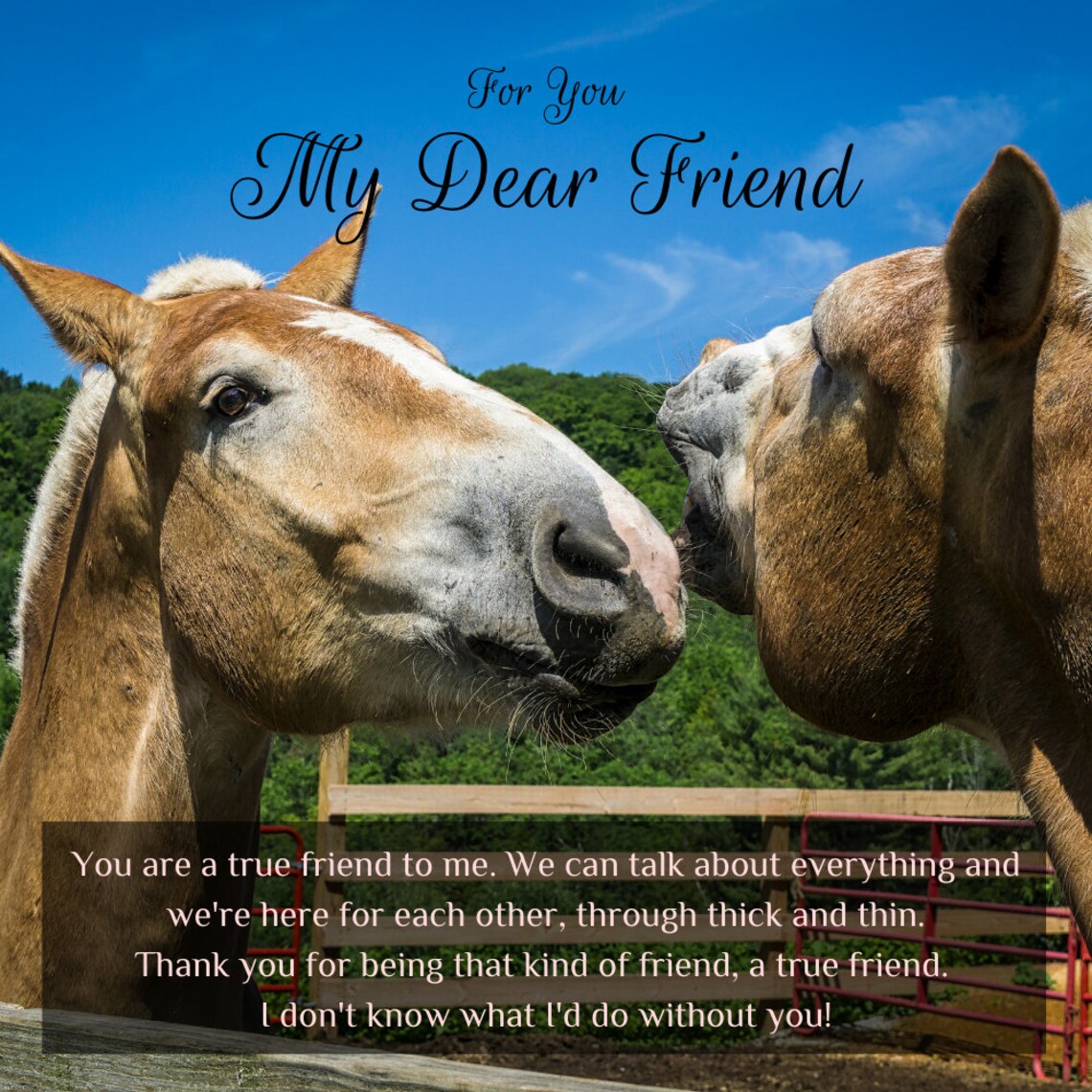 Beste Freundin Pferd GeschenkLiebe Knoten HalsketteYou Are a Etsy
