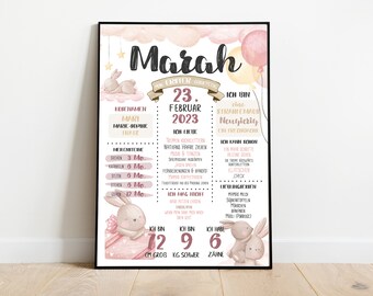 Meilensteintafel Poster Baby Erster Geburtstag Geschenk Hase Geburtsbild