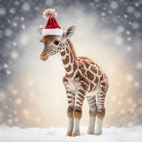 An Adorable Baby Giraffe All Wrapped up for Winter - Etsy Canada