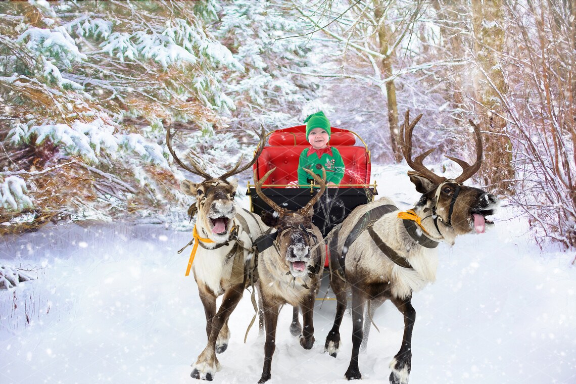 Christmas Reindeer For Sale 2023 Cool Ultimate The Best List of Christmas Ribbon Art 2023