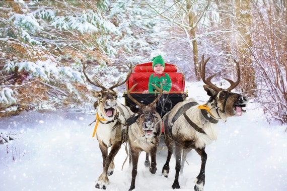 Christmas Reindeer Sleigh Ride In The Snow Digital Etsy
