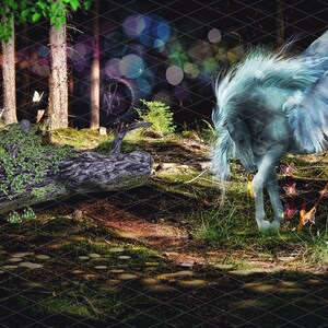 Enchanted Pegasus forest with fairy digital backdrop/background, Photoshop composite