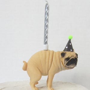 May include: A tan pug figurine wearing a party hat with a green pom-pom, and a gold-colored collar. A silver spiral birthday candle is inserted into the pug's back. The pug is standing on a white surface.