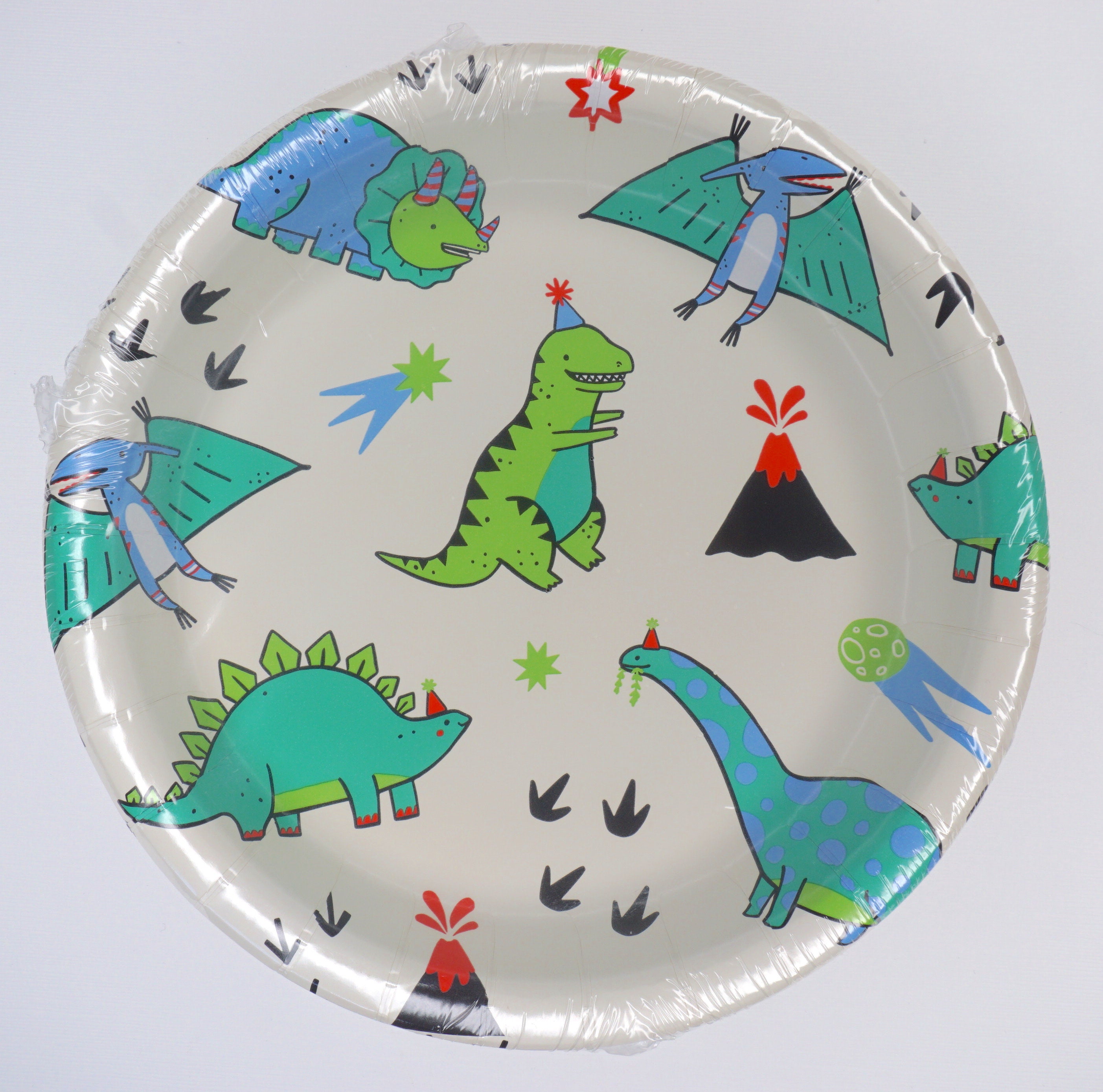 dinosaur party dino party dinosaur theme t rex theme dinosaur plates dinner plates kids birthday boys birthday rawr 10 plates