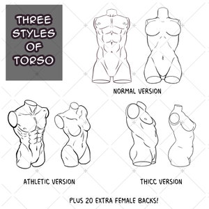 May include: Line drawing illustrations of three different torso styles: normal, athletic, and thick. The illustrations are in black and white and show the front view of the torso. The text "THREE STYLES OF TORSO" is at the top of the image. The text "ATHLETIC VERSION", "NORMAL VERSION", and "THICC VERSION" are below the illustrations. The text "PLUS 20 EXTRA FEMALE BACKS!" is at the bottom of the image.