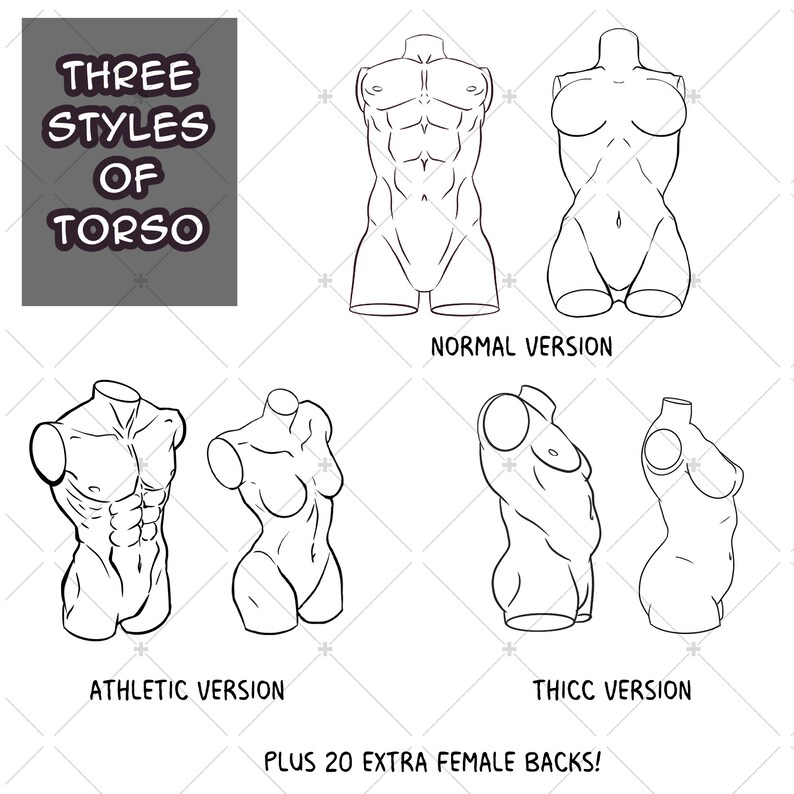 May include: Line drawing illustrations of three different torso styles: normal, athletic, and thick. The illustrations are in black and white and show the front view of the torso. The text "THREE STYLES OF TORSO" is at the top of the image. The text "ATHLETIC VERSION", "NORMAL VERSION", and "THICC VERSION" are below the illustrations. The text "PLUS 20 EXTRA FEMALE BACKS!" is at the bottom of the image.