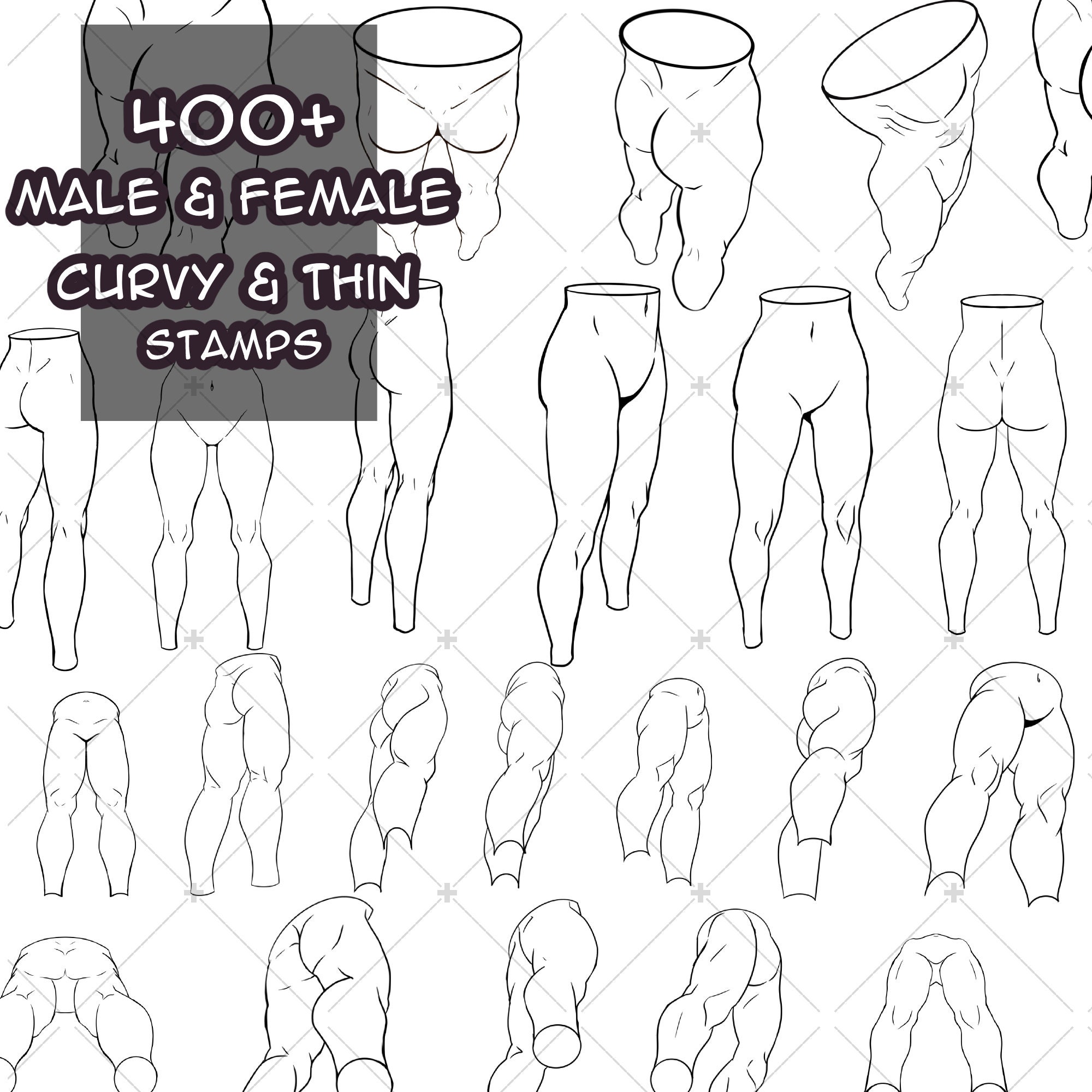 Procreate Legs 400+ Mega Male + Female Leg Stamp and Brush Pack for Procreate & Clip ...