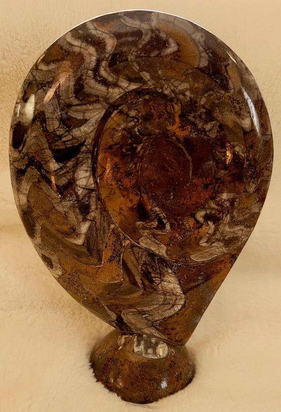 Ammonite Sculpture, Free Standing,  Madagascar