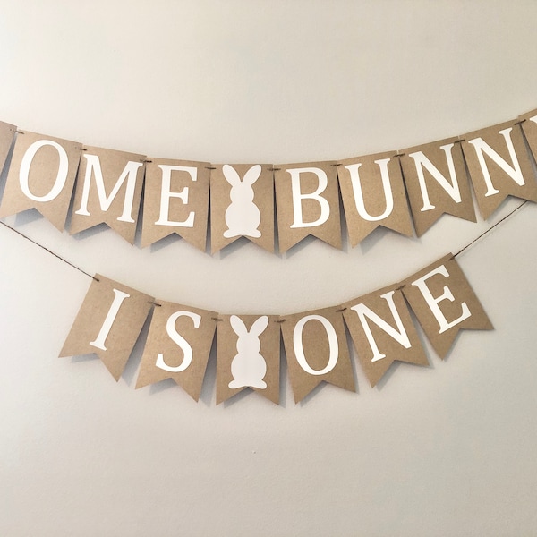 Some Bunny Is One First Birthday Banner, First Birthday Banner, First Birthday Party Decorations