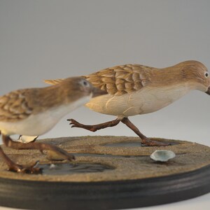 Livanbirdssandpiper, gesneden vogels, gebeeldhouwde vogels, met de hand gesneden, realistische vogels, kustvogels, vogelkunst, woondecoratie, houten vogels