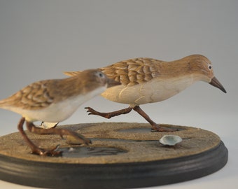 Livanbirdssandpiper, rzeźbione ptaki, rzeźbione ptaki, ręcznie rzeźbione, realistyczne ptaki, ptaki brzegowe, sztuka ptaków, wystrój domu, ptaki z drewna