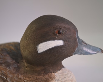 Livanbirds, kura Bufflehead, kaczki, ręcznie rzeźbione ptaki, realistyczne ptaki, Waterfoul, sztuka ptaków, rzeźba ptaków