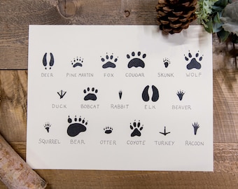 Animal Print Chart | Watercolor Art Print