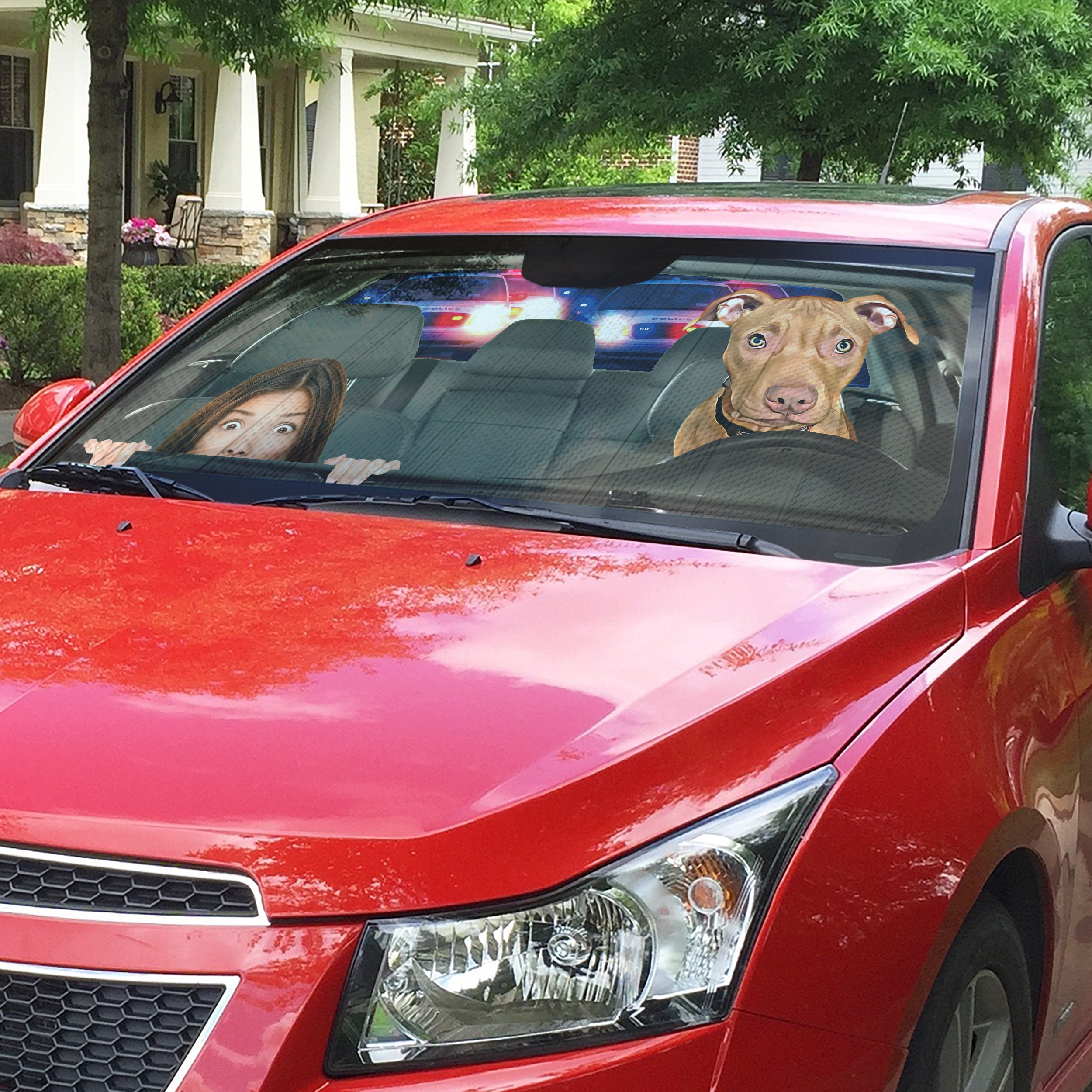 Car Sun Shade Auto Sun Shade Custom Dog Car Sun Shade Etsy