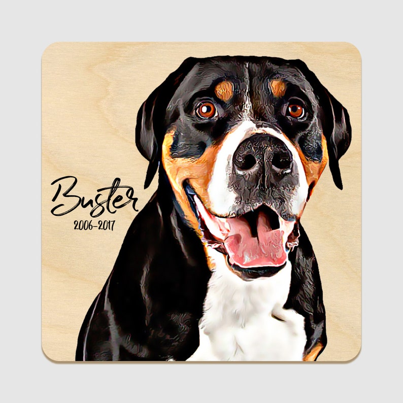 Pet Memorial Gift Pet loss Gift Pet Sympathy Gift Dog Etsy