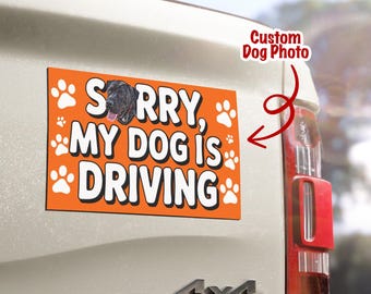 Imán personalizado para coche con forma de perro: "Lo siento, mi perro está conduciendo". Divertida pegatina para parachoques de mascotas. Imán personalizado con foto de perro. Calcomanía para coche para amantes de los perros.