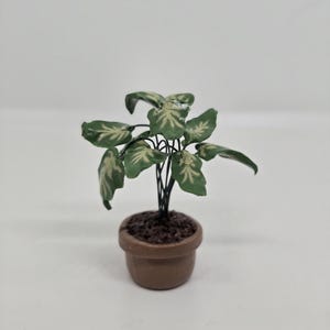 Pianta d'appartamento Syngonium in miniatura in scala 1:12