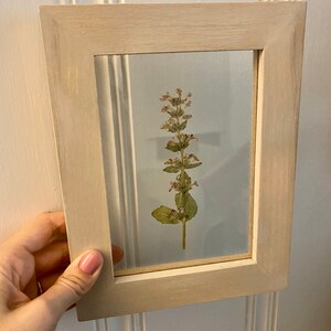 May include: A light wood frame with a clear glass insert, showcasing a pressed dried flower with green leaves and small white flowers.