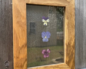 Pansies Pressed in Handmade 5x7 Frame