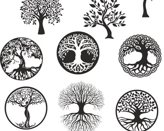 tree of life drawing