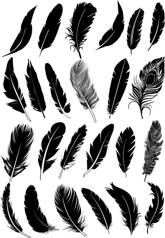 Black Feather Vector Collection set Feather Vector | Etsy