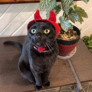 Cat Devil Hat